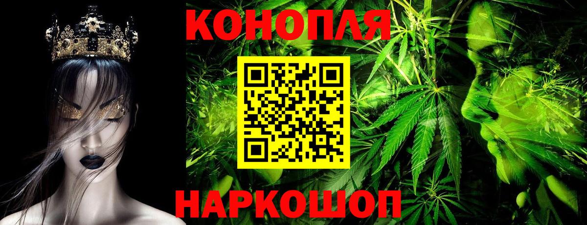 Канабис OG Kush  Конопля тримм  Шахты  Вход с VPN  Марихуана план 